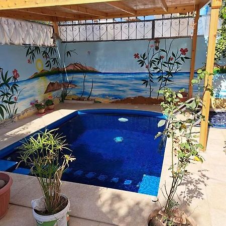 الأقصر Villa Louise Guest House المظهر الخارجي الصورة