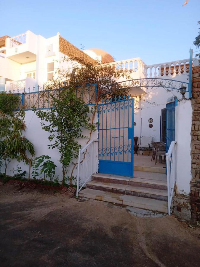الأقصر Villa Louise Guest House المظهر الخارجي الصورة