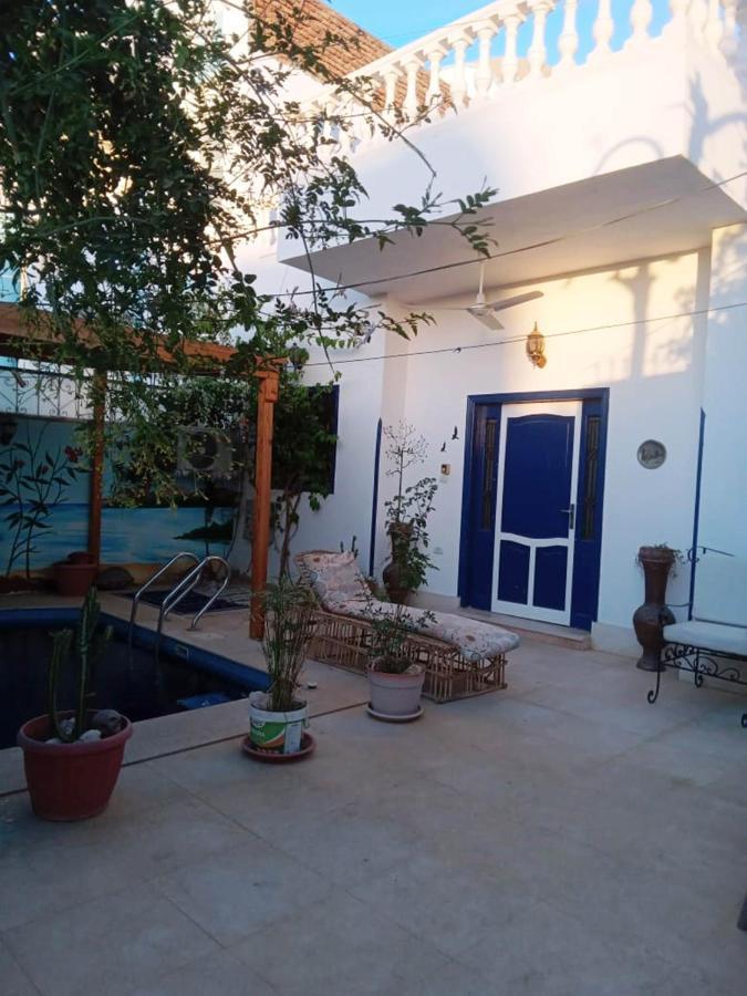 الأقصر Villa Louise Guest House المظهر الخارجي الصورة