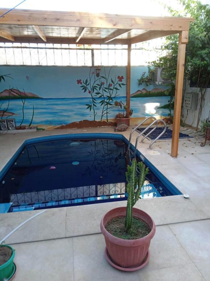 الأقصر Villa Louise Guest House المظهر الخارجي الصورة