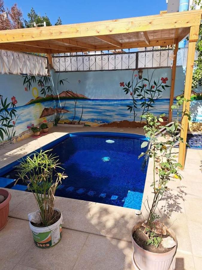 الأقصر Villa Louise Guest House المظهر الخارجي الصورة