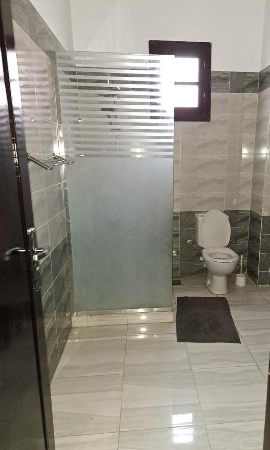 الأقصر Villa Louise Guest House المظهر الخارجي الصورة